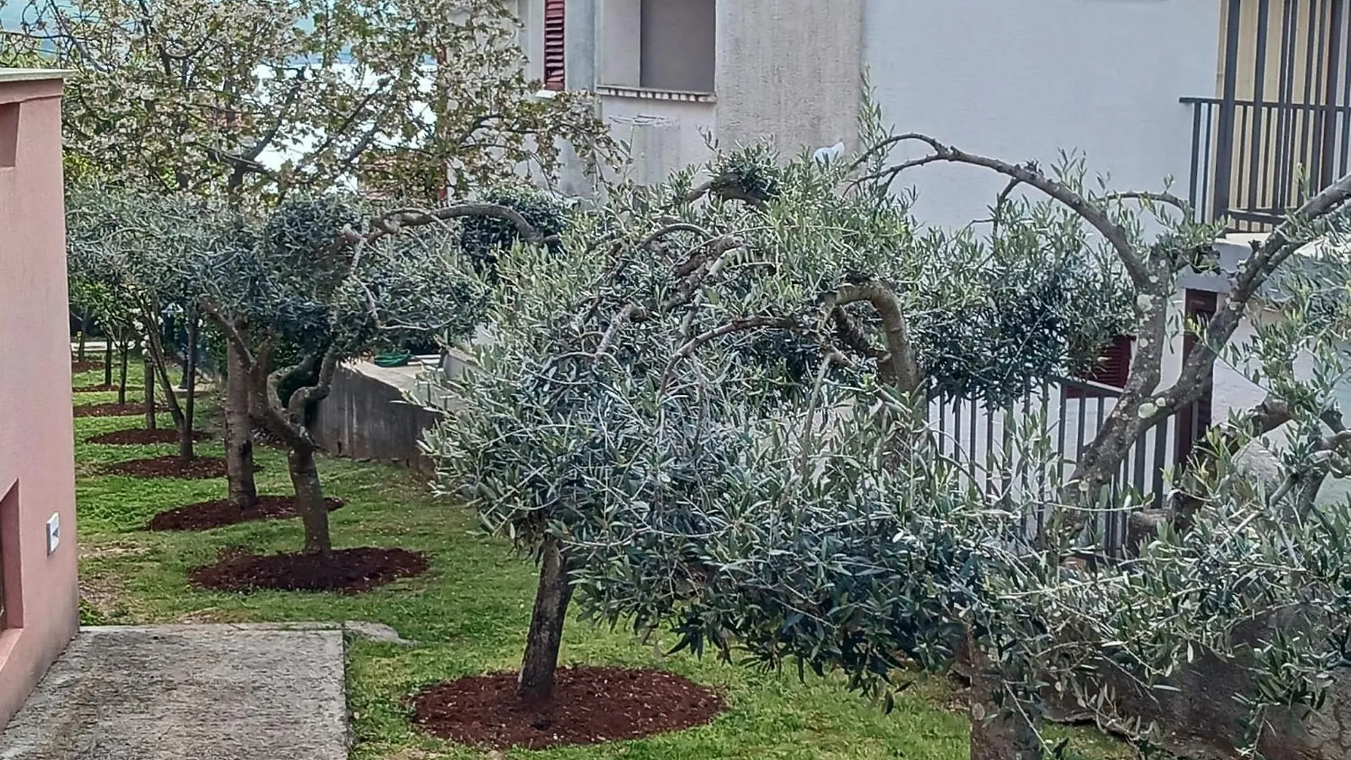 Apartments Iva & Ammm Malinska Croatia